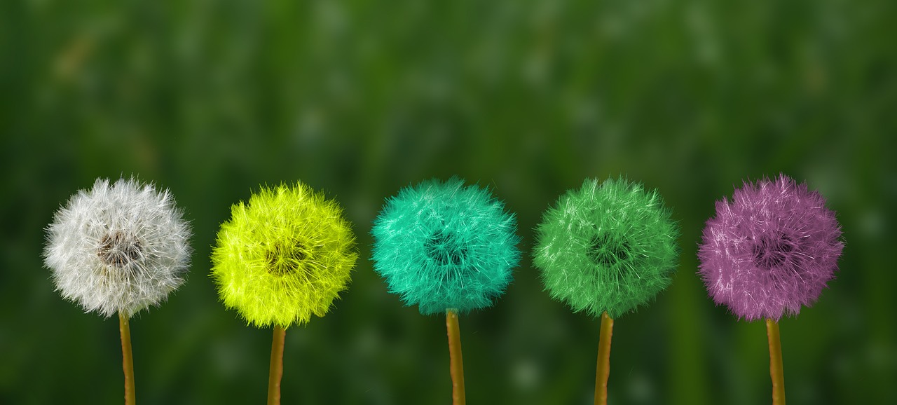 Harnessing Resilience to Overcome Virtual Fatigue